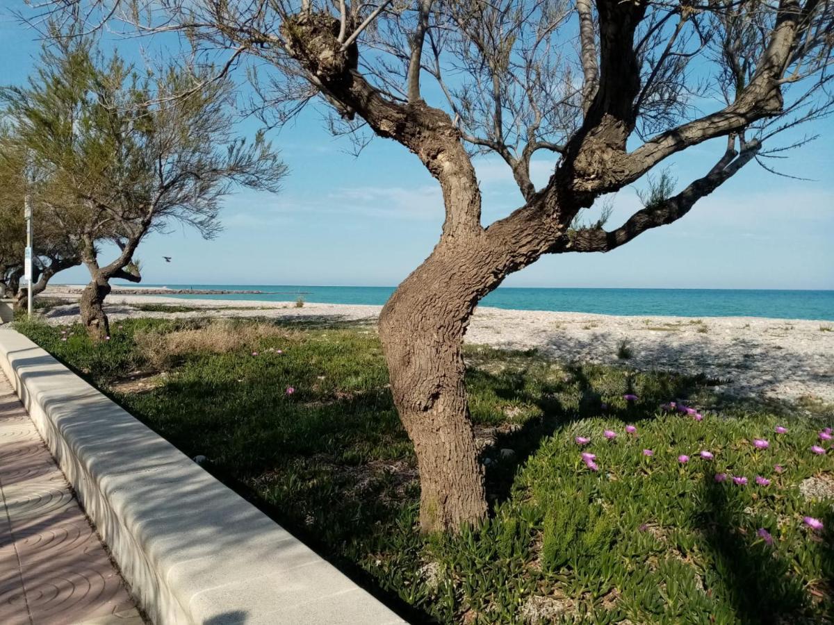 Ferienwohnung Paradise Moncofa Con Aire Acondicionado Y Wifi Gratis Exterior foto